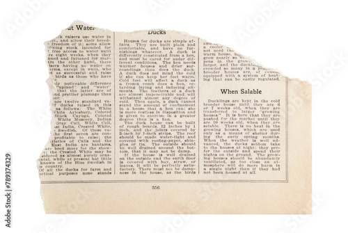 Torn page png ephemera collage element, transparent background