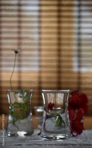 A plucked flower in a small glass of water