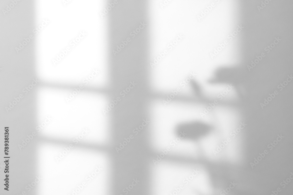 Aesthetic window light shadow png on the wall overlay effect on ...