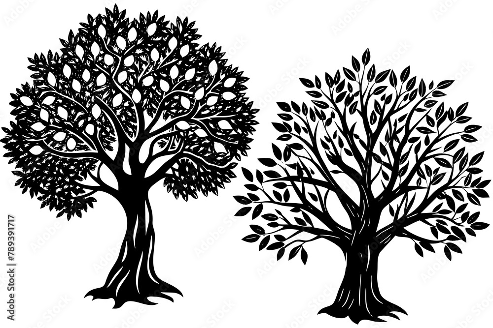 Obraz premium olive-tree-osage-orange vector illusrtation