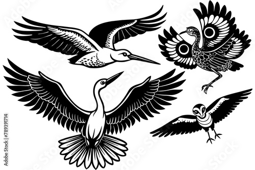 wl-pelican-stork-crane-flying-in-the-sky vector illusrtation photo