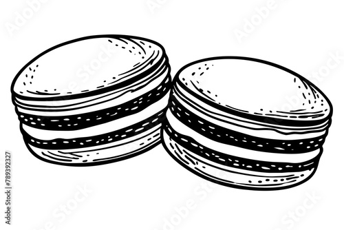  pink-macarons-on-white-background- vector illusrtation photo