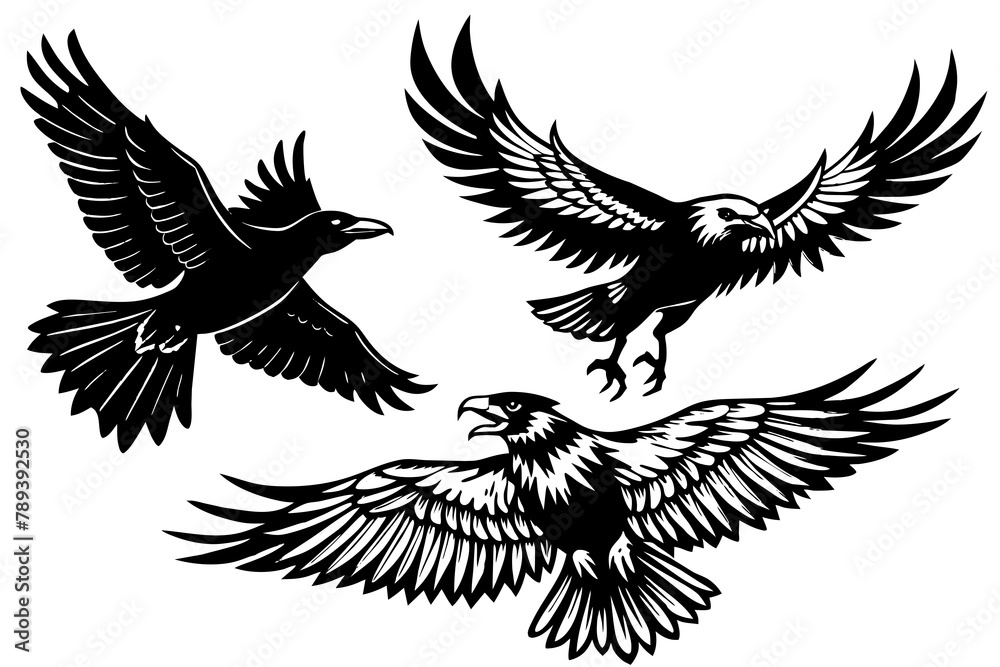 raven-finch-eagle-flying-in-the-sky. vector illustration raven-finch-eagle-flying-in-the-sky. vector illustration