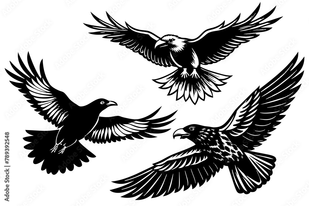       raven-finch-eagle-flying-in-the-sky. vector illustration