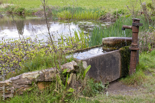 Water trough and rusty tap by a pond in East Sussex