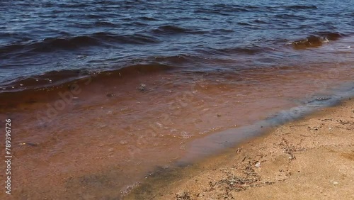 Waves on the beach of Papineau Lake in Ontario, Canada. photo