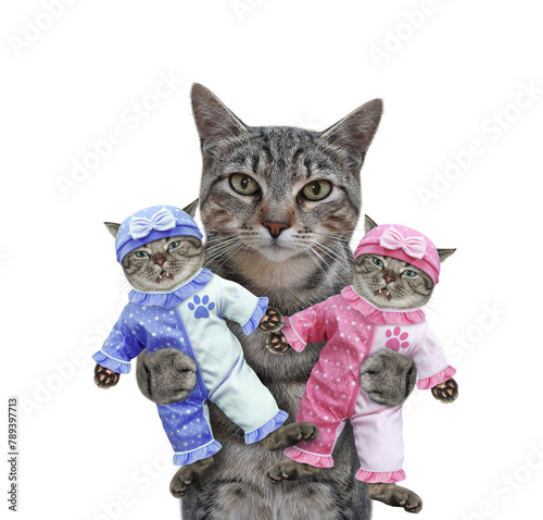 Cat gray holds two kittens