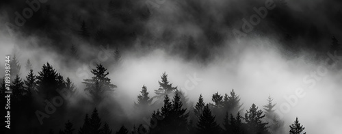 Monochrome foggy forest panorama. Minimalist nature landscape art. Watercolor illustration on white background. photo