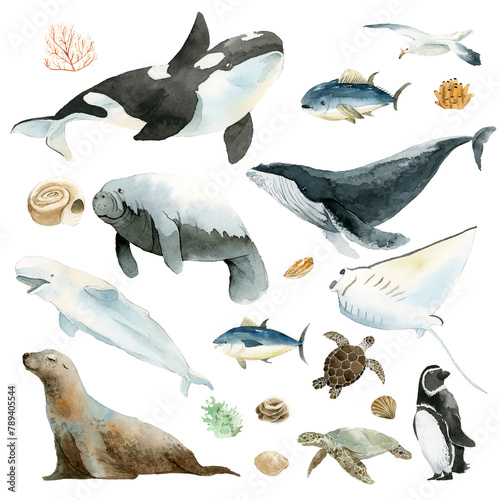 Photography Watercolor painted aquatic animals collection transparent png