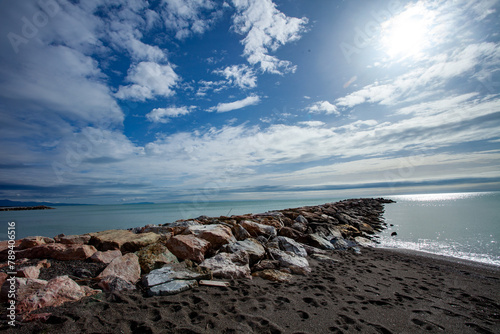 tomboli nature reserve of cecina maritime pine on the sea of marina di cecina