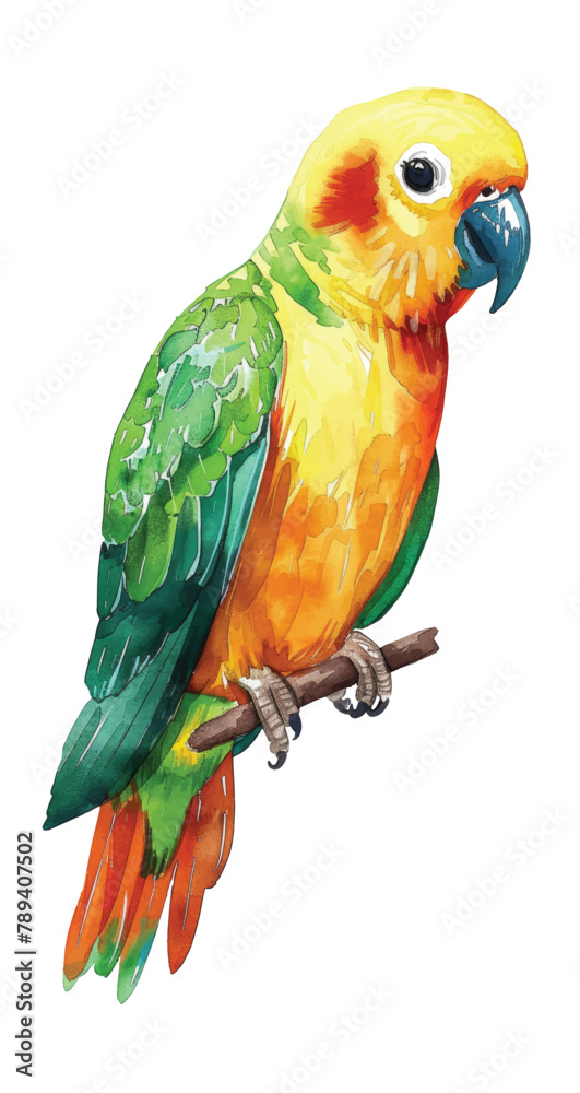 Watercolor exotic bird isolated on white background. Vector illustration