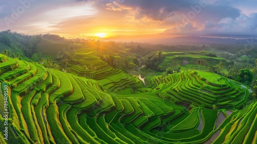 A panoramic aerial photograph of lush green rice terraces under a sunset sky. The terraces ripple with geometric precision, bathed in soft sunset light with long shadows and sparkling water surfaces