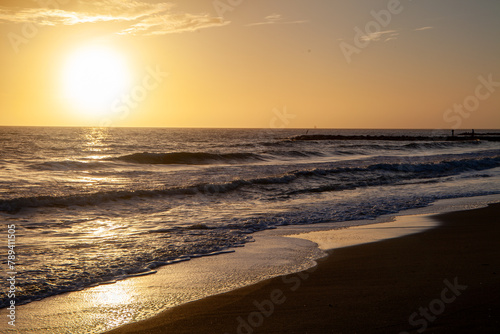 sunset tomboli natural reserve of cecina maritime pine on the sea of marina di cecina