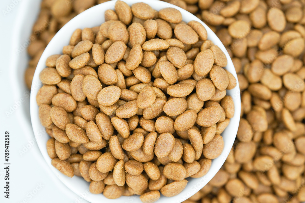 Top view of dry pet food in a white bowl, dog and cat food background. Top view of dry pet food in a white bowl, dog and cat food background.