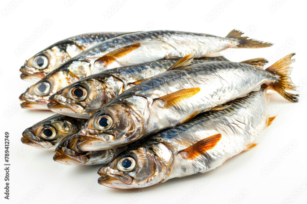 photo of several fresh herring fish isolated on a white background photo of several fresh herring fish isolated on a white background