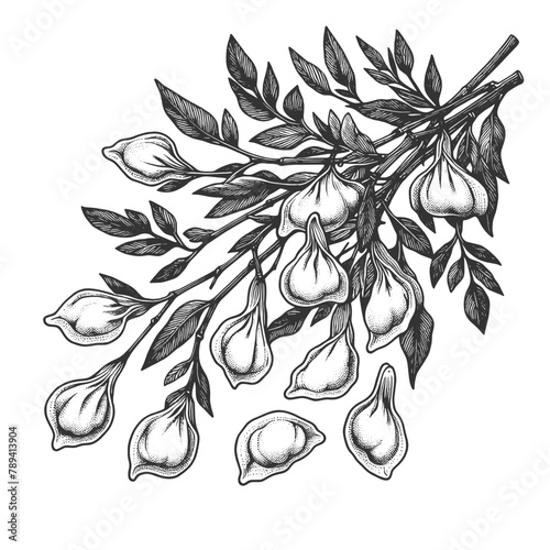 Tree branch with Khinkali dumplings sketch engraving generative ai fictional character vector illustration. Scratch board imitation. Black and white image.
