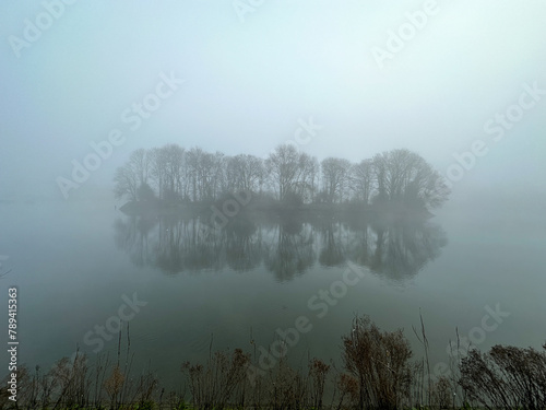 Trees on an island reflected in the River Thames  seen through morning mist