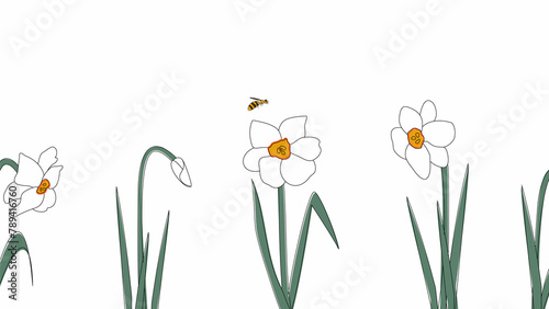 Seamless border of narcissists hand drawn in simplified children cartoon naive style on white background.Cute bee flying over flower.For design of website or shop for spring or summer.Raster