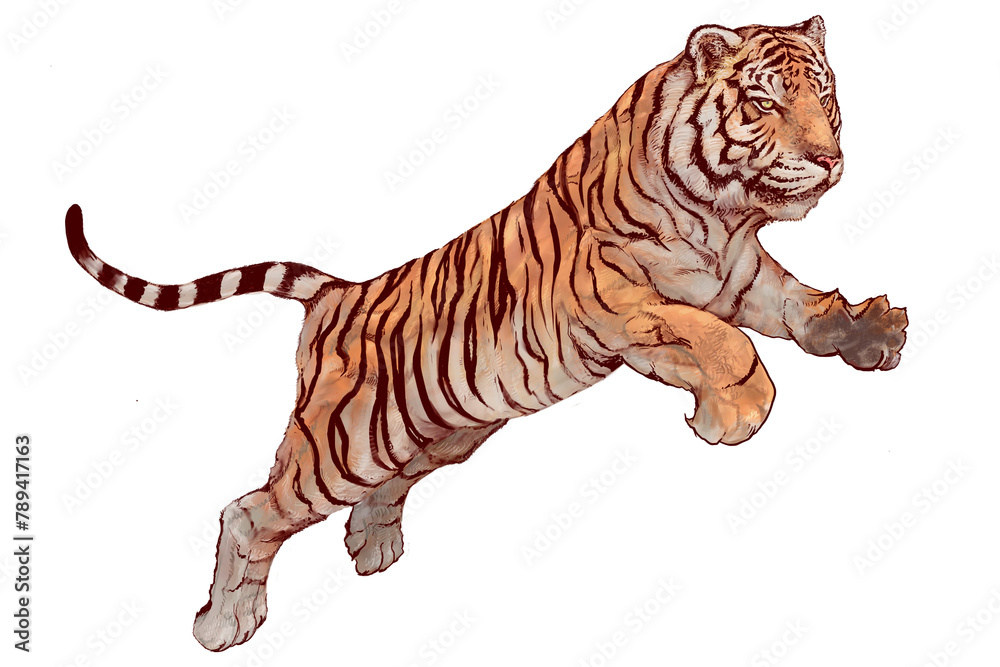 Fototapeta premium Hand drawn jumping tiger overlay