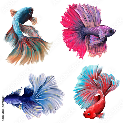 Beautiful betta fish collection design element © Rawpixel.com