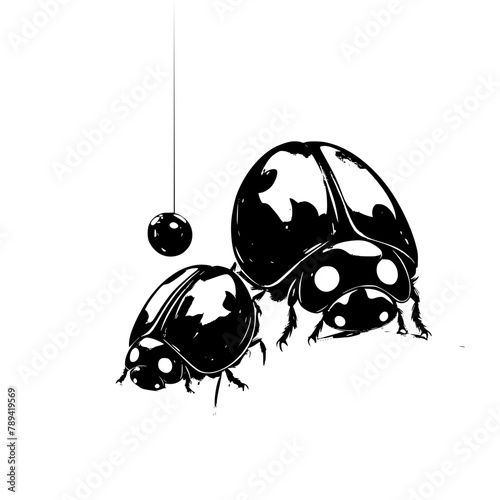 illustration of ladybug