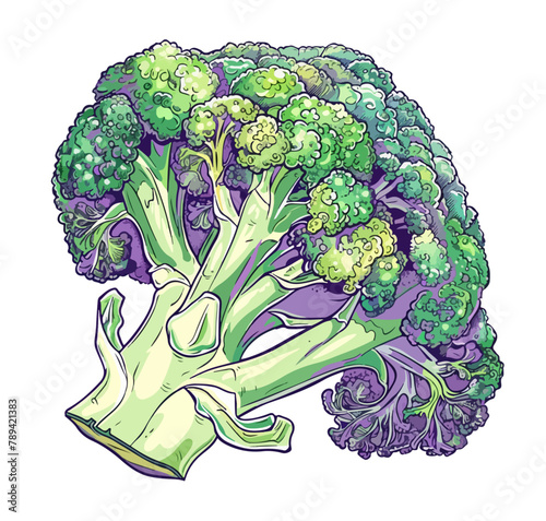 Broccoli Illustration Gemüse Isoliert Frisch Brokkoli Gesund photo