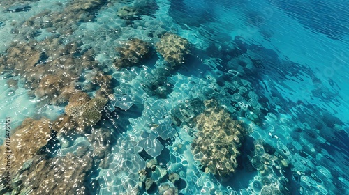 Stunning aerial shot of a crystal clear coral reef