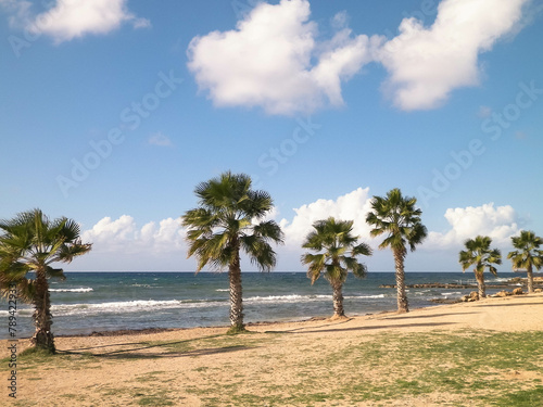 Beach and palm trees. Mediterranean sea coast.