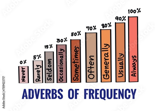 Hand drawn picture of colorful bars with vocabulary types of Adverbs of frequency. Illustration for education. Concept, English grammar teaching lesson. Teaching aid.