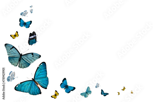 Vintage blue butterflies with a copy space