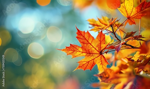                                                           The Magic of Autumn  Fantastic Landscapes Created by the Park s Autumn Foliage Generative AI