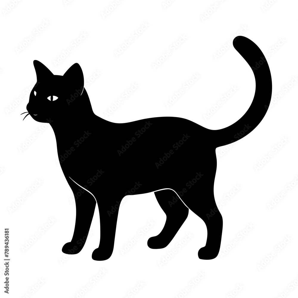 Cat vector illustration. Cat silhouette 