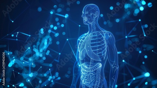 Human body wireframe scanned in 3D. Polygonal technology design based on medical blue prints.