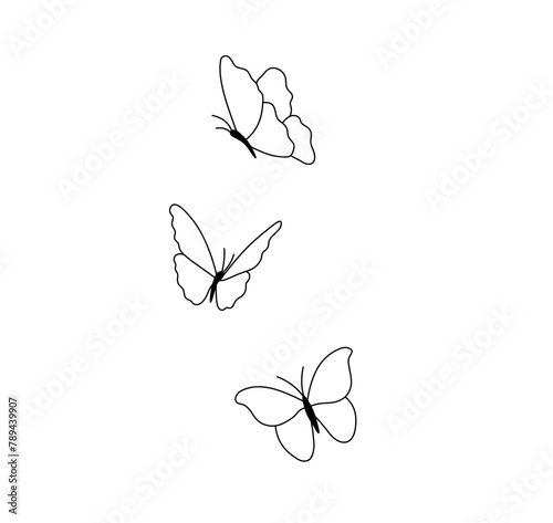 Vector isolated three butterflies flying fluttering colorless black and white contour line easy drawing