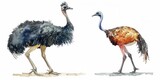 A pair of ostriches standing side by side. Can be used for educational purposes or nature-themed designs