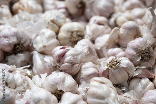 Garlic bulbs in a market stall. Stack of white garlic heads. Spicy cooking ingredient. Focus in front