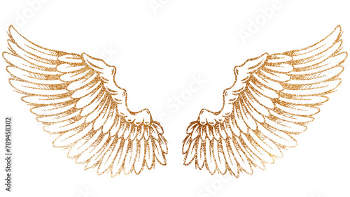 Golden wings sticker overlay design element