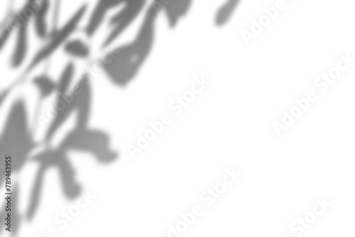 Tropical leaves shadow design element