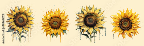 Watercolor ink dripping sunflower set. It is a unique sunflower drawing art. Summer and autumn flowers, yellow flowers, floral botanical background vector