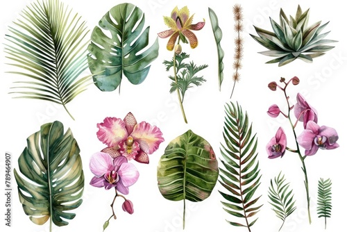 Vibrant watercolor illustration of various tropical plants and flowers. Perfect for botanical designs and nature-themed projects