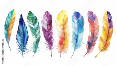 A group of colorful feathers. Perfect for design projects © Fotograf