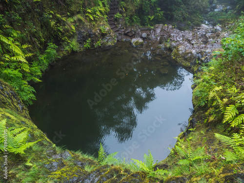 View of small pond at hiking trail PR10 Levada do Furado. One of the oldest and most popular levadas. Ribeiro Frio to Portela, Madeira Island, Portugal. Wet misty rainy day