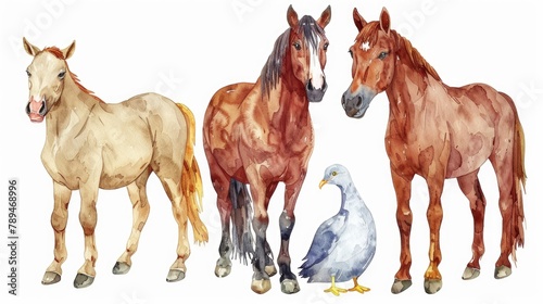 A group of three horses and a seagull standing together. Perfect for nature and animal themed projects