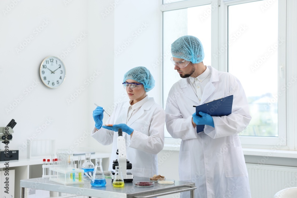 Quality control. Food inspectors checking safety of products in laboratory