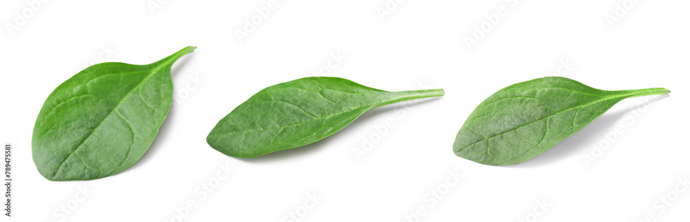 Fototapeta premium Fresh spinach leaves isolated on white, set