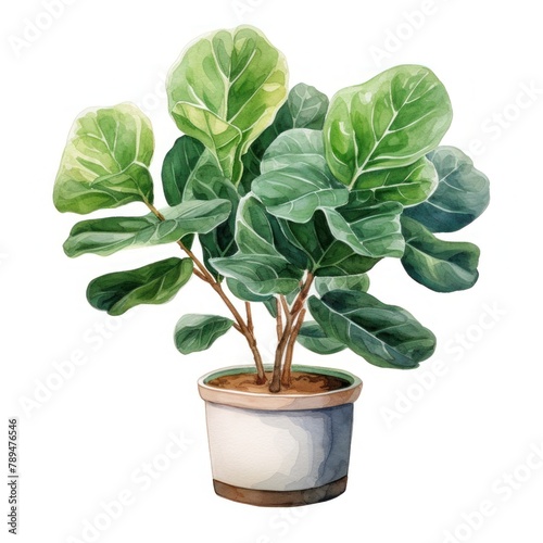 A watercolor painting of a potted Fiddle Leaf Fig plant.