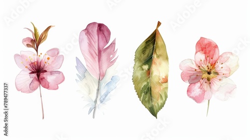 Fototapeta Naklejka Na Ścianę i Meble -  Beautiful watercolor flowers on a clean white background. Perfect for various design projects