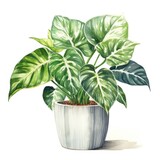 A watercolor painting of a potted houseplant with variegated leaves.