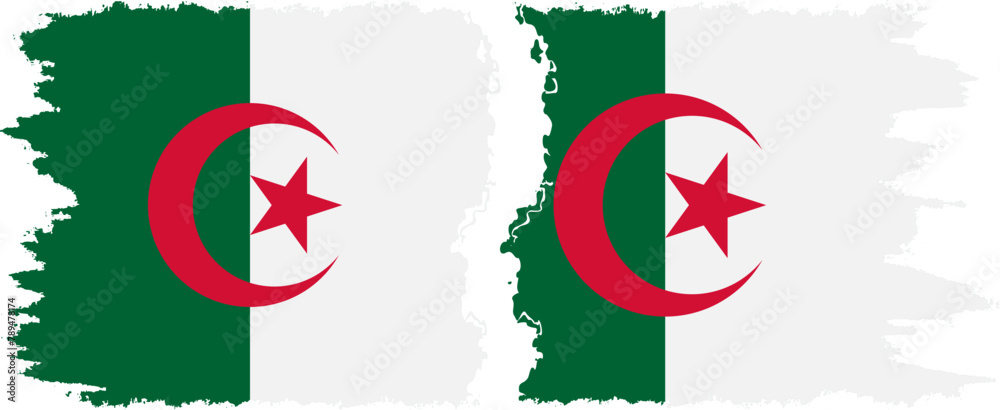 Algeria and Algeria grunge flags connection vector
