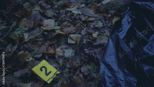 Murdered woman's corpse covered with a body bag during a forensic examination at the crime scene  © Synthex🇺🇦